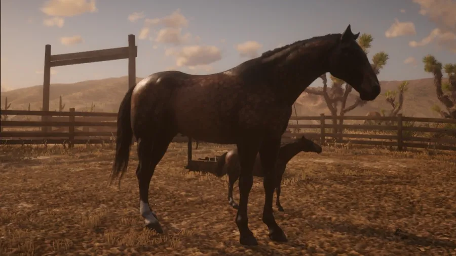 Bon cheval
